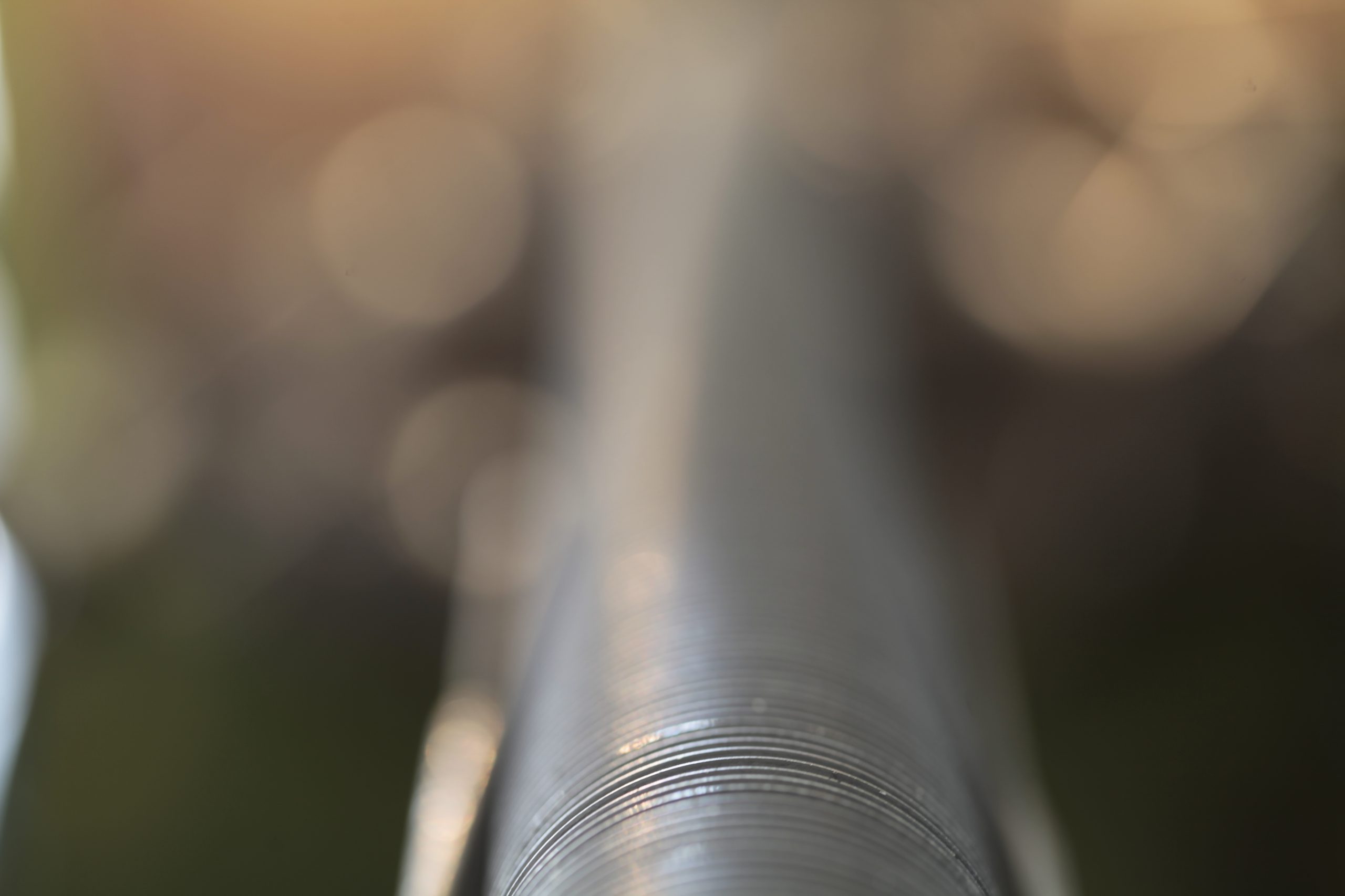 _MG_4630